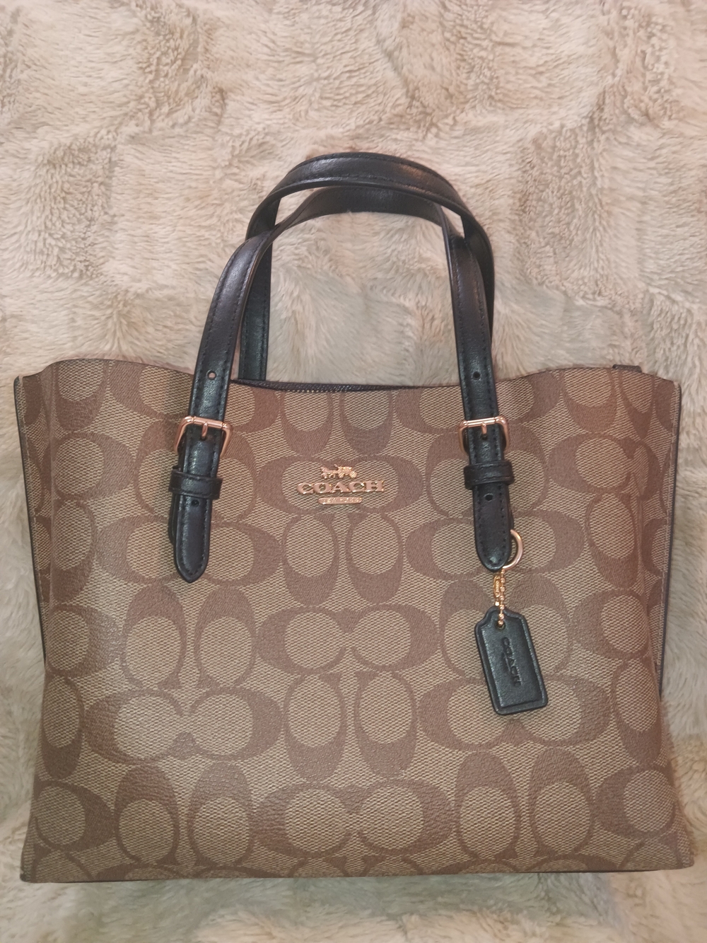 Coach Molly Tote 25